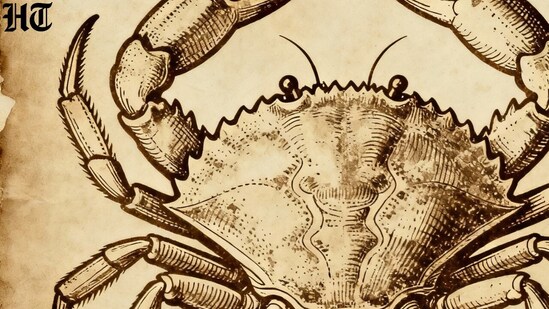 Cancer Horoscope Today: Read our expert astrological predictions to find out what the stars have in store for you.