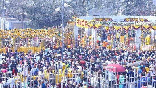 మేడారం జాతర