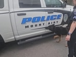 Reports indicated that a shooting had taken place in Mount Airy near Welcome Baptist Church Road.