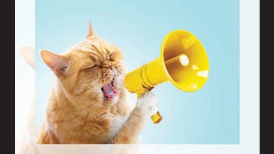 Let’s face it: We may not like what our pets have to say about us. (SHUTTERSTOCK) Let’s face it: We may not like what our pets have to say about us. (SHUTTERSTOCK)