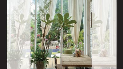 Linen curtains lend a sun-drenched look to any spot. (SHUTTERSTOCK) Linen curtains lend a sun-drenched look to any spot. (SHUTTERSTOCK)