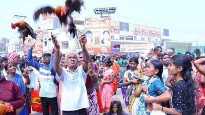 <p>బందు మిత్రులతో కులమతాలకు అతీతంగా అందరూ ఒకే చోట కూర్చుని భోజనం చేయడం ఇక్కడి ప్రత్యేకత. చాలామంది భక్తులు తమ ఇళ్ల నుంచే బియ్యం,పప్పు తెచ్చుకుని, మేడారం చెట్ల కింద 'వనభోజనాలు' చేస్తారు. ఇది ఒక గొప్ప పర్యాటక అనుభవాన్ని కూడా ఇస్తుంది. మేడారంఅంటే కేవలం మొక్కులు తీర్చుకోవడం మాత్రమే కాదు, అది తెలంగాణ గిరిజన అస్తిత్వానికి, ధైర్యానికి ప్రతీక. ఆధునిక ప్రపంచంలో మనిషికి, ప్రకృతికి ఉన్న విడదీయరాని బంధాన్ని ఈ జాతర గుర్తు చేస్తుంది.</p> 
