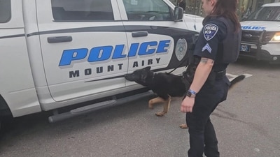 Reports indicated that a shooting had taken place in Mount Airy near Welcome Baptist Church Road. (Facebook/ Mount Airy Police Department) Reports indicated that a shooting had taken place in Mount Airy near Welcome Baptist Church Road. (Facebook/ Mount Airy Police Department)