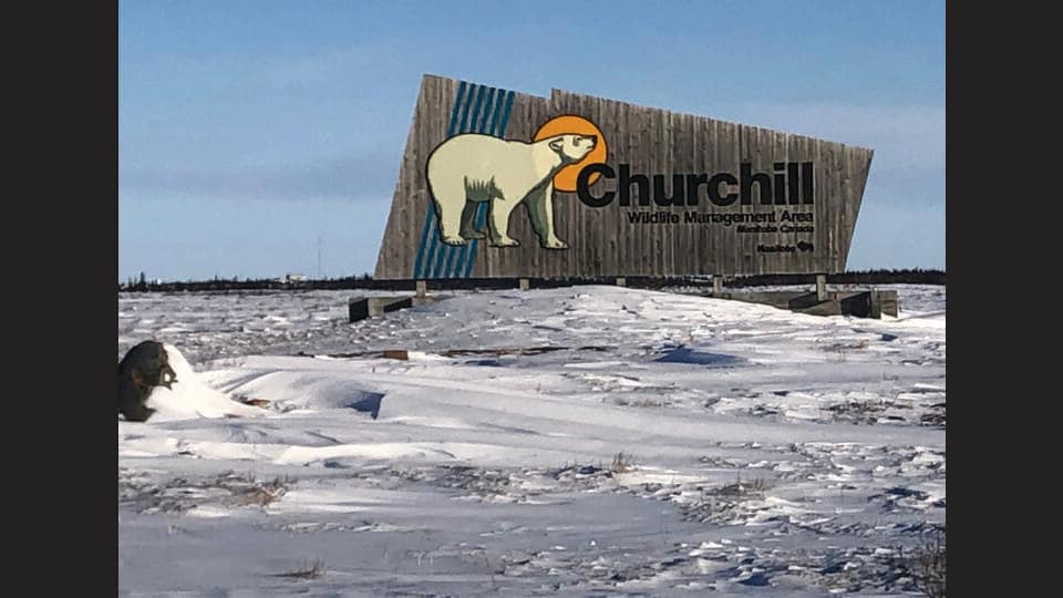 The Manitoba post office in Cape Churchill, Canada provides rubber stamps featuring a polar bear, date and location. (SHUTTERSTOCK)