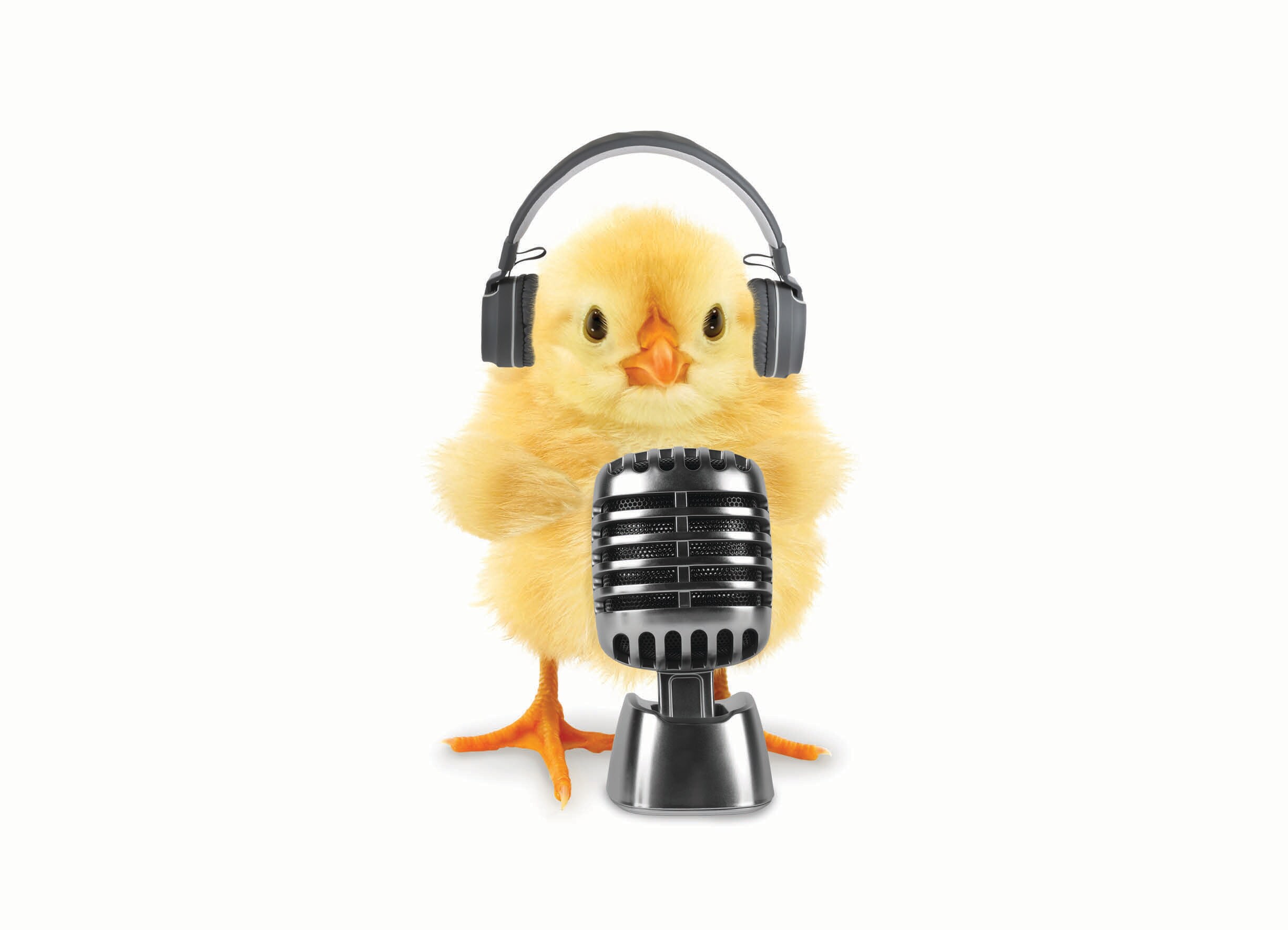 You might find out that your little friend – surprise, surprise – doesn’t really like being caged. (SHUTTERSTOCK) You might find out that your little friend – surprise, surprise – doesn’t really like being caged. (SHUTTERSTOCK)