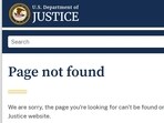 The files are hosted on the DOJ's dedicated public portal, known as the Epstein Library.