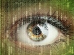 Representative photo (Shutterstock)