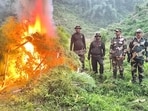 The illegal cultivation was spread across nearly 65 acres of forest land, officials said. The illegal cultivation was spread across nearly 65 acres of forest land, officials said.