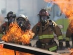 The forward progression of the brush fire was stopped, Image for representative purposes.
