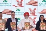 (L to R) Sumit Saran, India Representative for Australian Almonds, Tim Jackson, CEO, Australian Almonds, Chef Manjit Singh Gill and Dr Madhu Sharma, MBBS, MD, ADHA Professor