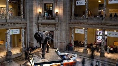 The Smithsonian’s National Museum of Asian Art in Washington DC has announced it will return three ancient bronze sculptures to India (Bloomberg) The Smithsonian’s National Museum of Asian Art in Washington DC has announced it will return three ancient bronze sculptures to India (Bloomberg)
