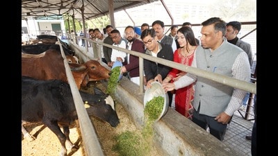 The mayor also conducted a thorough on-site assessment of the structural condition of gaushalas, cattle sheds, water supply systems, fodder availability, sanitation standards, and overall infrastructure. (HT Photo) The mayor also conducted a thorough on-site assessment of the structural condition of gaushalas, cattle sheds, water supply systems, fodder availability, sanitation standards, and overall infrastructure. (HT Photo)