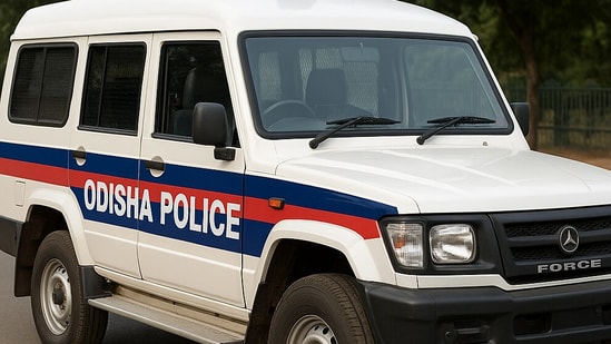 After finding the DSP being trolled on social media, Odisha Police asked its personnel to maintain decorum. (AI-generated image)