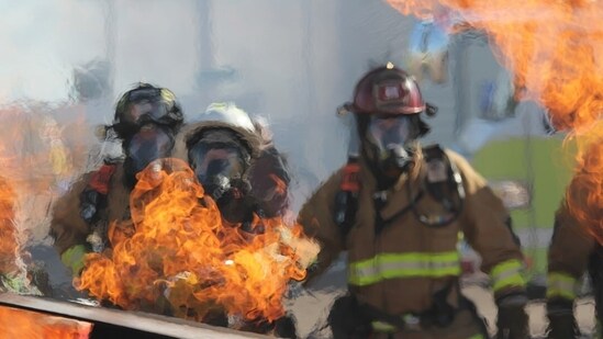 The forward progression of the brush fire was stopped, Image for representative purposes. (Unsplash)