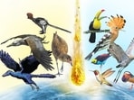 Ancient ancestors to the brilliant array of birds we know today: (From left) Illustrations of Anchiornis huxleyi, Archaeopteryx. An avian from the enantiornithine group and the Asteriornis maastrichtensis, nicknamed the wonderchicken. It lived just over 66 million years ago, and survived the Chicxulub impactor. Spot the vibrant toucan, common hoopoe, paradise tanager, hummingbird, Hawaiian honeycreeper, sandhill crane and mandarin duck. (Wikimedia; Michael Rothman / Field Museum of Natural History; Natural History Museum; Shutterstock; Adobe Stock)