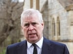 Britain's disgraced ex-Duke of York Prince Andrew appeared in the latest batch of Epstein files.