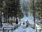 People visit a snow-covered area after a fresh spell of snowfall, at Daksum in Anantnag district, Jammu and Kashmir on Saturday. (PTI)