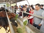 The mayor also conducted a thorough on-site assessment of the structural condition of gaushalas, cattle sheds, water supply systems, fodder availability, sanitation standards, and overall infrastructure. (HT Photo) The mayor also conducted a thorough on-site assessment of the structural condition of gaushalas, cattle sheds, water supply systems, fodder availability, sanitation standards, and overall infrastructure. (HT Photo)