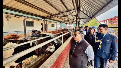 Kataria inspects the Gaushala in Makhan Majra, reviewing the upkeep measures taken by the administration following his previous visit. (HT Photo) Kataria inspects the Gaushala in Makhan Majra, reviewing the upkeep measures taken by the administration following his previous visit. (HT Photo)