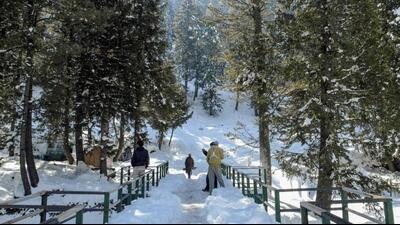People visit a snow-covered area after a fresh spell of snowfall, at Daksum in Anantnag district, Jammu and Kashmir on Saturday. (PTI) People visit a snow-covered area after a fresh spell of snowfall, at Daksum in Anantnag district, Jammu and Kashmir on Saturday. (PTI)