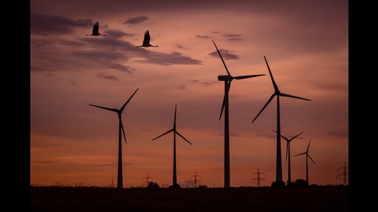 Built structures such as skyscrapers and wind farms are eating into new areas and new altitudes, posing risks to birds, bats and insects. (Pixabay)
