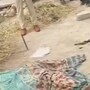 నల్గొండ జిల్లాలో ఘోరం