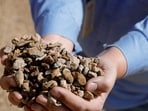 The mineral-rich states will receive support to promote mining, processing, research and manufacturing of rare earths.