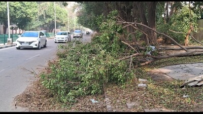 The storm had triggered widespread power disruptions across Mohali and adjoining areas. (HT Photo) The storm had triggered widespread power disruptions across Mohali and adjoining areas. (HT Photo)