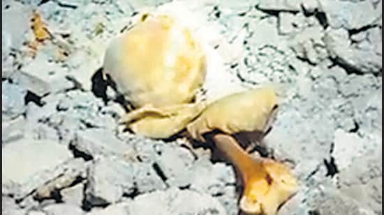 Skeleton found inside unused water tank in Vasai