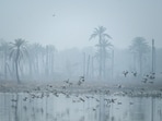 Surajpur Wetland’s core lake area is spread over around 0.60 square kilometres, and it is an internationally recognised Ramsar site and an important habitat for several resident and migratory bird species. (Sunil Ghosh/HT Photo)
