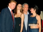 A document related to Jeffrey Epstein claims that he introduced Melania to Donald Trump.