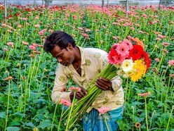 এই মুহূর্তে পশ্চিমবঙ্গের সর্বনিম্ন তাপমাত্রা মোটামুটি একই স্তরে থাকবে। (ছবিটি প্রতীকী, সৌজন্যে পিটিআই)