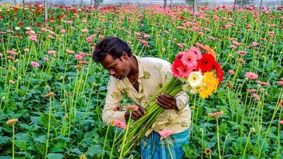 এই মুহূর্তে পশ্চিমবঙ্গের সর্বনিম্ন তাপমাত্রা মোটামুটি একই স্তরে থাকবে। (ছবিটি প্রতীকী, সৌজন্যে পিটিআই) এই মুহূর্তে পশ্চিমবঙ্গের সর্বনিম্ন তাপমাত্রা মোটামুটি একই স্তরে থাকবে। (ছবিটি প্রতীকী, সৌজন্যে পিটিআই)