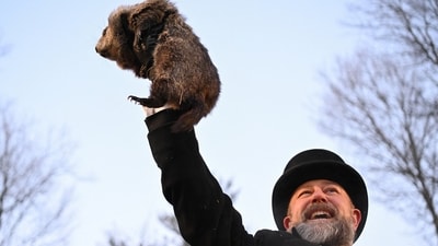 Groundhog Day 2026: Handler A. J. Dereume holds Phil the groundhog, as Phil makes his prediction on how long winter will last, during the Groundhog Day festivities, at Gobbler's Knob in Punxsutawney, Pennsylvania, U.S., February 2, 2026. REUTERS/Alan Freed (REUTERS)