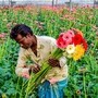 এই মুহূর্তে পশ্চিমবঙ্গের সর্বনিম্ন তাপমাত্রা মোটামুটি একই স্তরে থাকবে। (ছবিটি প্রতীকী, সৌজন্যে পিটিআই)