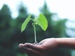 Centre’s Green Credit Programme is a scheme aimed at addressing land degradation. (Representative photo)