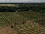 Mumbai-based listed real estate developer, Godrej Properties Ltd (GPL), on February 3, announced that it has sold plots worth over <span class='webrupee'>₹</span>1,000 crore at the launch of its plotted development project. (Picture for representational purposes only)