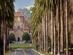A Stanford International Relations and East Asian Studies student claimed that some students registered as disabled to get perks.(visit.stanford.edu)