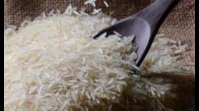 India exported over 2.75 lakh tonnes of basmati rice worth $337.1 million to the US in 2024-25. (HT Photo)