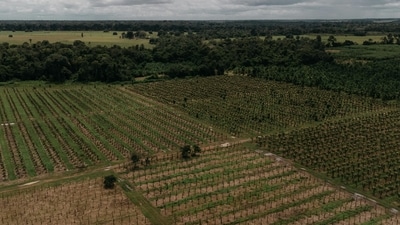 Mumbai-based listed real estate developer, Godrej Properties Ltd (GPL), on February 3, announced that it has sold plots worth over ₹1,000 crore at the launch of its plotted development project. (Picture for representational purposes only) (Pexels) Mumbai-based listed real estate developer, Godrej Properties Ltd (GPL), on February 3, announced that it has sold plots worth over ₹1,000 crore at the launch of its plotted development project. (Picture for representational purposes only) (Pexels)