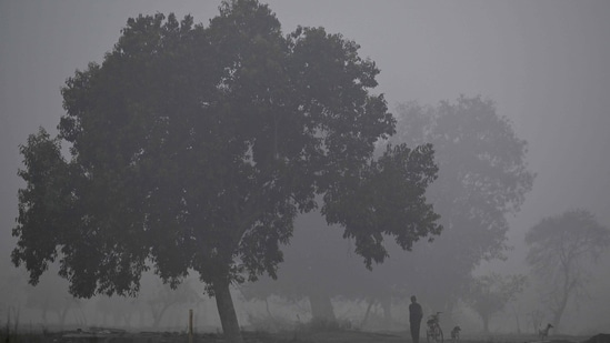 Gram it: The city appears to be under siege! A view from the floodplains of the Yamuna river, on a cold winter morning in Delhi, show how fog has enveloped the Capital. As per the weather reports, the minimum temperature is expected to hover at around 9°C today. (Photo: Arun Sankar/AFP)