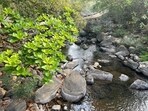 A relaxing stay at Poomaale Estate is your ticket to nature immersion. (Pic: Sanya Panwar)