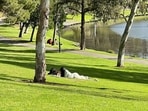 The man claimed he felt out of place at the park.