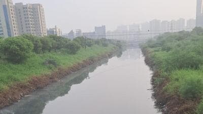 The authority has also claimed that Noida currently has eight functional STPs with a combined treatment capacity of 411 million litres per day (MLD), while sewage generation in the city is estimated at around 240 MLD. “Therefore, the existing sewage treatment plants are sufficient to cover future needs of an expanding population,” the submission said. (HT Archive) The authority has also claimed that Noida currently has eight functional STPs with a combined treatment capacity of 411 million litres per day (MLD), while sewage generation in the city is estimated at around 240 MLD. “Therefore, the existing sewage treatment plants are sufficient to cover future needs of an expanding population,” the submission said. (HT Archive)