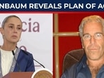 Mexicans in Epstein Files: Claudia Sheinbaum reveals plan of action Mexicans in Epstein Files: Claudia Sheinbaum reveals plan of action