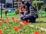 Gram it: Spring can be noticed in the step of Delhiites as they cross the city's intersections where flowers have begun to bloom and welcome spring season. Here's how youngsters are stopping by to soak in the beauty of the tulips at Mandi House.