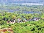 In its notice, the organisation has asked authorities not to permit the cutting of mangroves without obtaining Stage-II final forest clearance under Section 2 of the Forest (Conservation) Act, 1980, and without complying with the high court’s orders. (HT Photo)