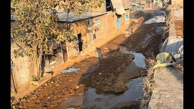 A street in Tajpur Road dairy complex strewn over with cow dung in Ludhiana on Thursday. (HT Photo) A street in Tajpur Road dairy complex strewn over with cow dung in Ludhiana on Thursday. (HT Photo)