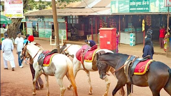 Raigad-based Dr Babasaheb Ambedkar Technological University’s study concludes that equine activity is environmentally unsustainable in Matheran eco-sensitive zone (ESZ). (HT FILE)