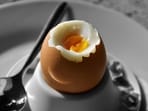 Eggs are the best form of dietary protein, shares Dr Reddy.